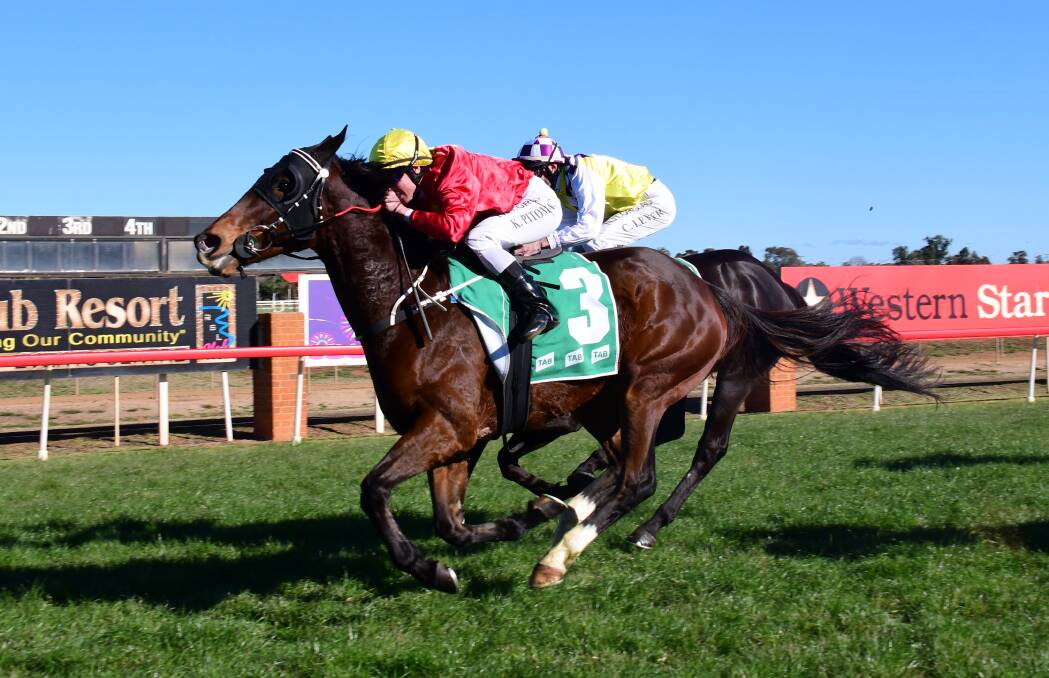 ANOTHER ONE: The Sledgehammer, pictured winning at Dubbo last month, has now won four straight races. Photo: AMY McINTYRE