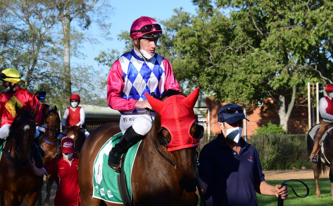 NEXT UP: Fast Talking is set to contest the Coonabarabran Cup after placing in features at Mudgee, Dubbo, and Bathurst recently. Photo: AMY McINTYRE