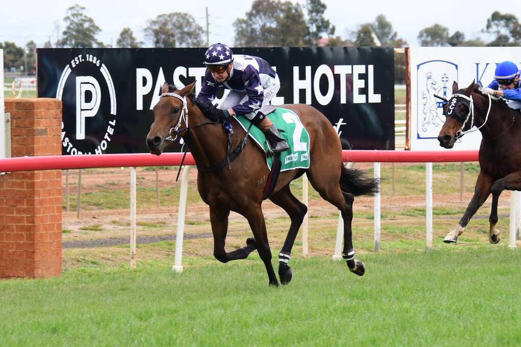 FLYING AT HOME: Wild Rocket will contest her hometown feature at Narromine on Sunday. Photo: AMY McINTYRE