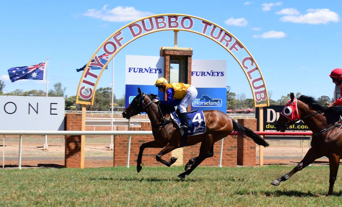 STEP UP: Eva's Deel won on debut at Dubbo last year and will contest a Highway event on Saturday. Photo: AMY McINTYRE