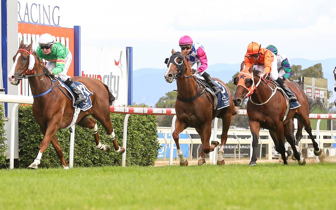 IN THE MIX: The Kody Nestor-trained Cardiff (centre) is shaping as one of the major contenders for this year's $1.3 million Kosciuszko. Photo: JAMES WILTSHIRE