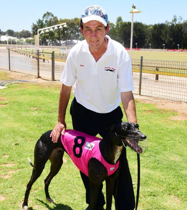 CHANCE: He's had success with dogs going from box eight in the past, and Paul Britt will be hoping for another win on Friday night. Photo: BELINDA SOOLE