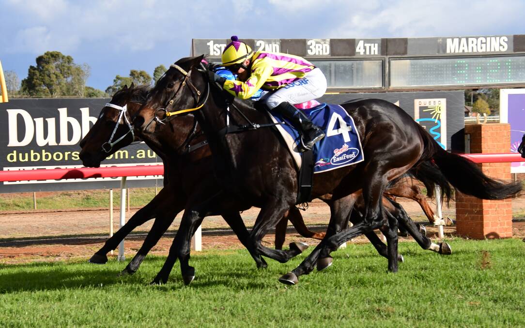 Squared scored a first win since February on Monday. Photos: BELINDA SOOLE