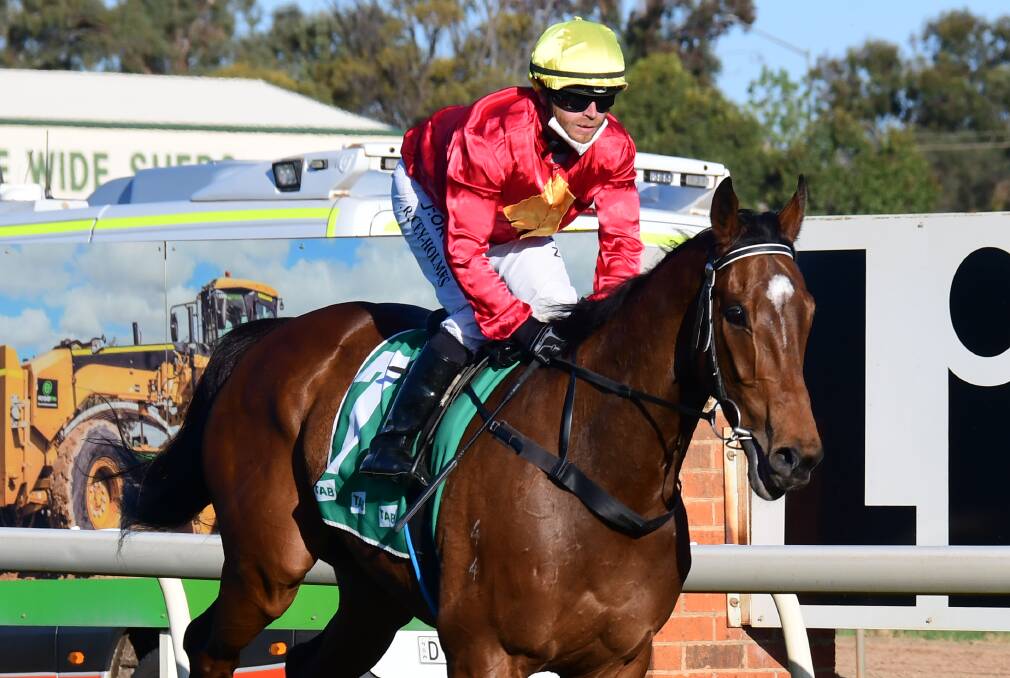 GO AGAIN: Reward Seeker, pictured with Jake Pracey-Holmes after last year's Dubbo Gold Cup, is set to return on Sunday. Picture: Amy McIntyre