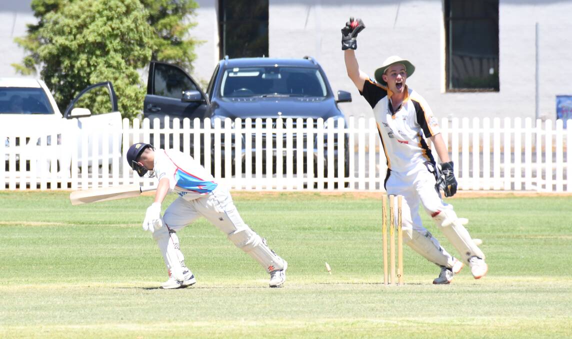 SO CLOSE: Newtown wicketkeeper Dan French appeals unsuccessfully after attempting to stump Rugby's Campbell Rose during Saturday's RSL-Whitney Cup battle at No. 3 Oval. Photo: AMY McINTYRE