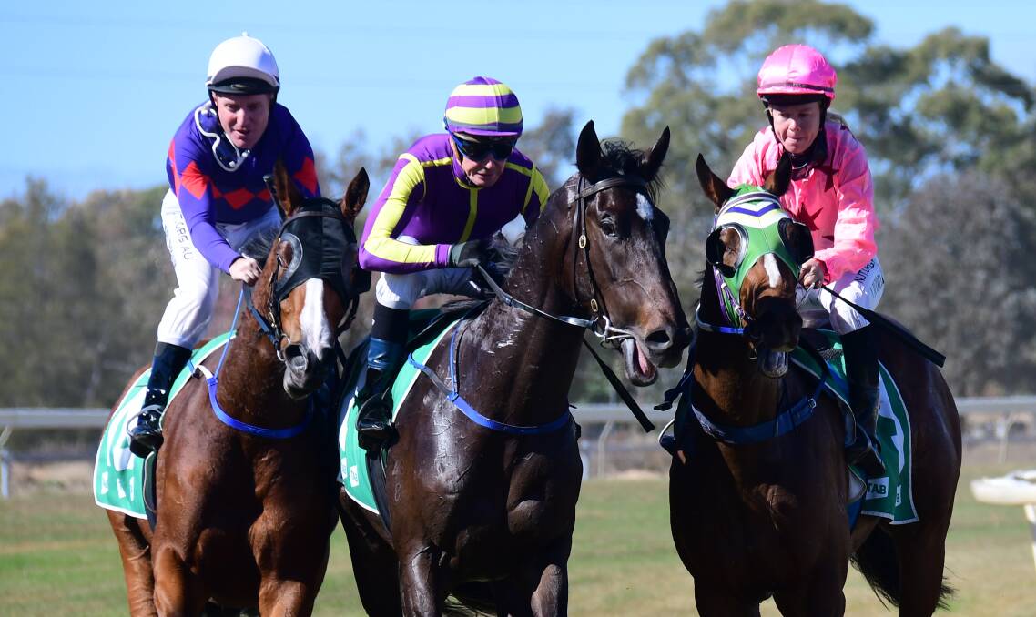 FEATURE CHANCE: Boongarra Lass (left) will contest Friday's Silver Goblet after finishing third last time out at the Dubbo track. Photo: AMY McINTYRE