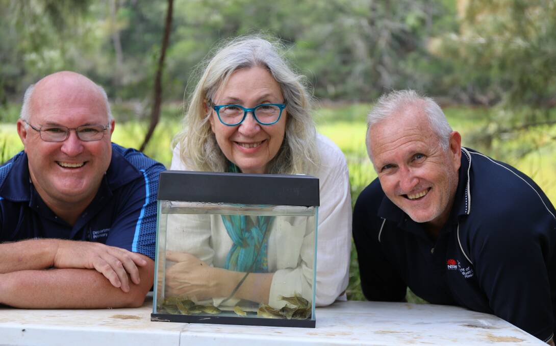RETURN: Expert fish scientists Dean Gilligan, Abagail Elizur, and Stewart Fielder have helped return the Macquarie Perch. Photo: COL GORDON