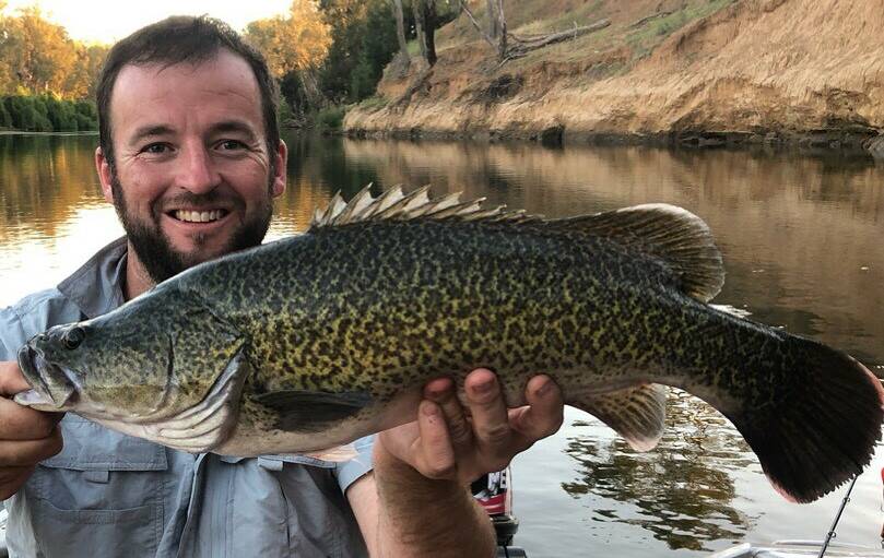 RISK:Local fish stocks are holding on as the big dry rolls on. Pictured is Daniel Bynon with a Murray Cod. Photo: CONTRIBUTED