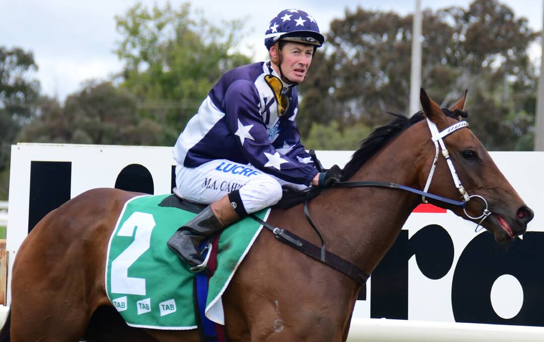 FIVE STAR: Mathew Cahill and Wild Rocket combined in one of the jockey's five wins at Narromine on Sunday. Photo: AMY McINTYRE