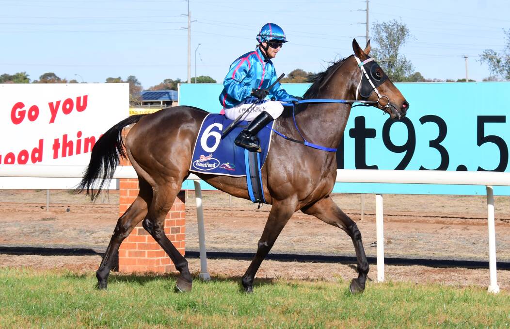 GOING AROUND AGAIN: The Clint Lundholm-trained Any Blinkin' Day won last time out at Dubbo Turf Club and will be in action at the track again on Friday. Photo: AMY McINTYRE