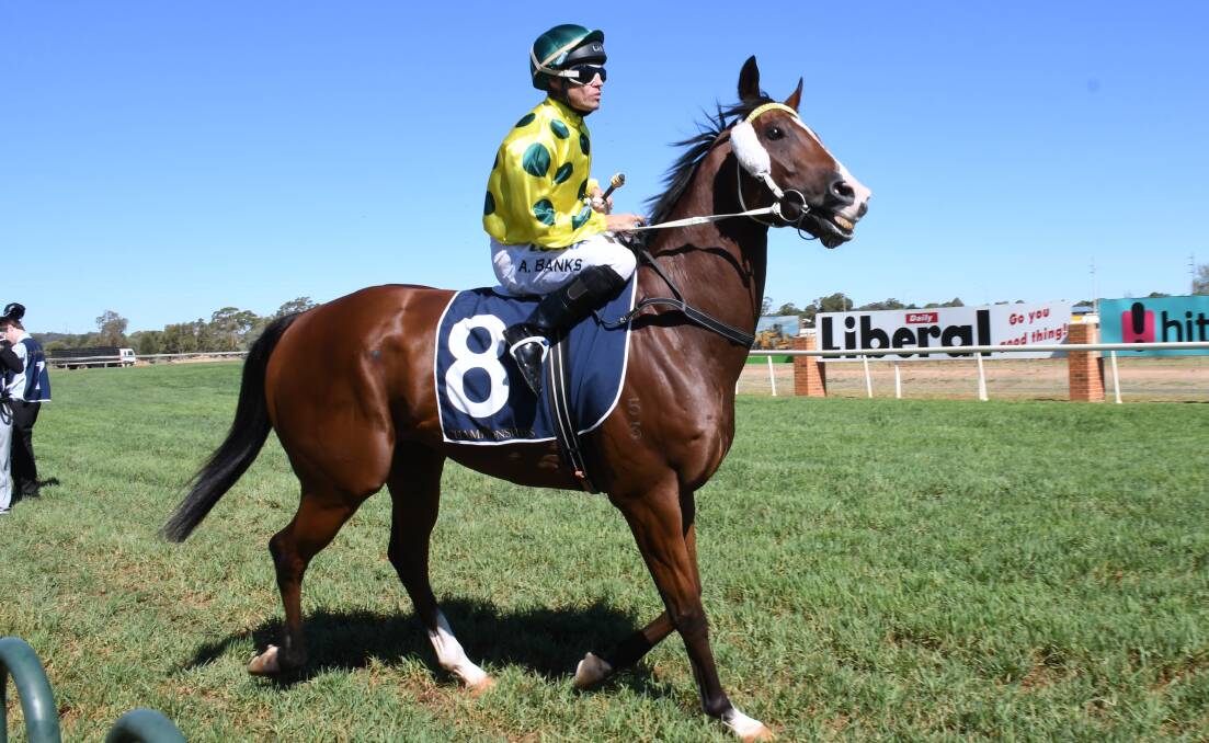 ON THE WAY: Sons Of Bourke powered home to finish second for Dubbo trainer Clint Lundholm in Sunday's rich qualifier.