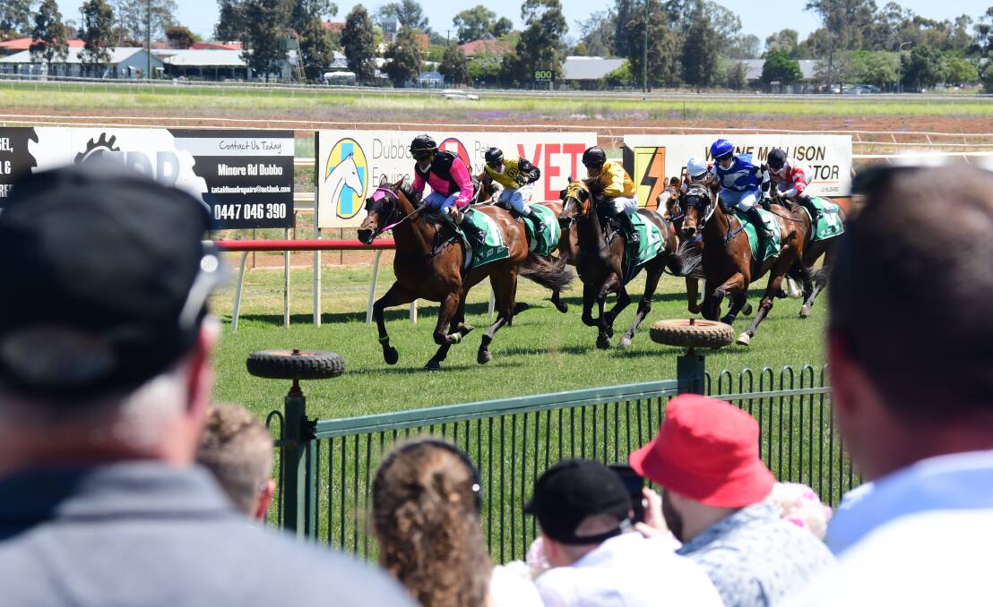 Gallery: MITRUST WINS WESTERN EAGLE AT DUBBO. Pictures: AMY McINTYRE