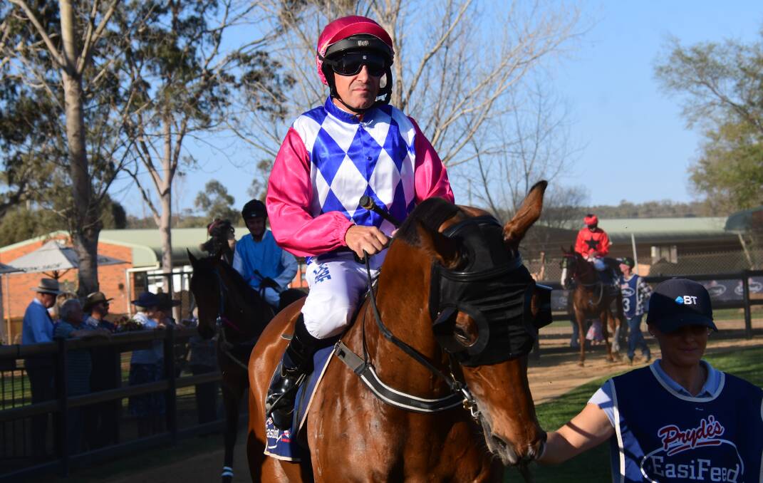 GO AGAIN: Anthony Cavallo (pictured) will be back in Kody Nestor team colours at Friday's huge Dubbo Turf Club meeting. Photo: BELINDA SOOLE