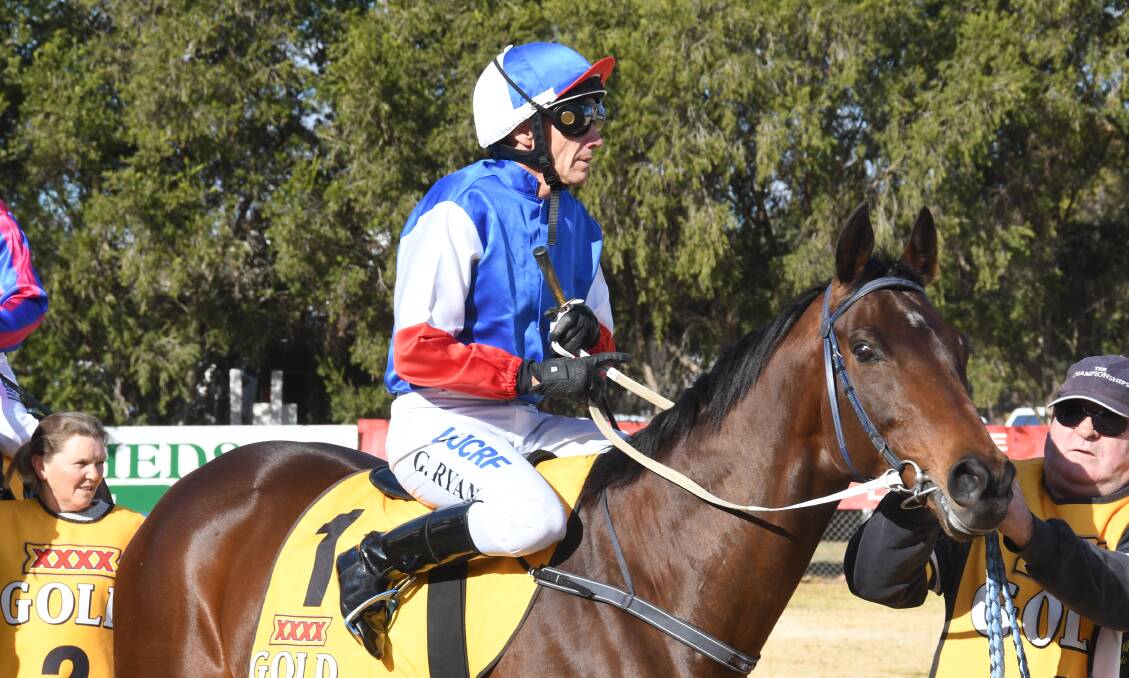 ONE TO WATCH: Greg Ryan will be back in Cecil Hodgson's colours on Sunday in the Country Championships qualifier. Photo: NICK GUTHRIE