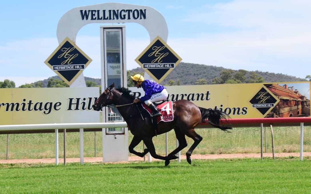 ON A ROLL: Byzantium, pictured winning at Wellington previously, scored victory again on Saturday at Parkes. Picture: Amy McIntyre
