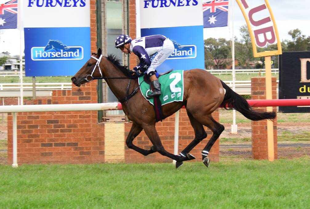 GO AGAIN: Mathew Cahill will again team up with Wild Rocket on Monday at Narromine Turf Club. Photo: AMY McINTYRE