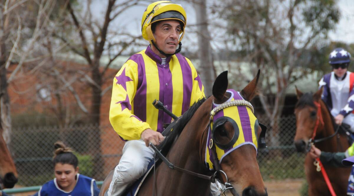 FINALLY: Moralto, pictured before taking part in a race at Dubbo with Anthony Cavallo in the saddle previously, scored a shock win on Sunday. Photo: NICK GUTHRIE