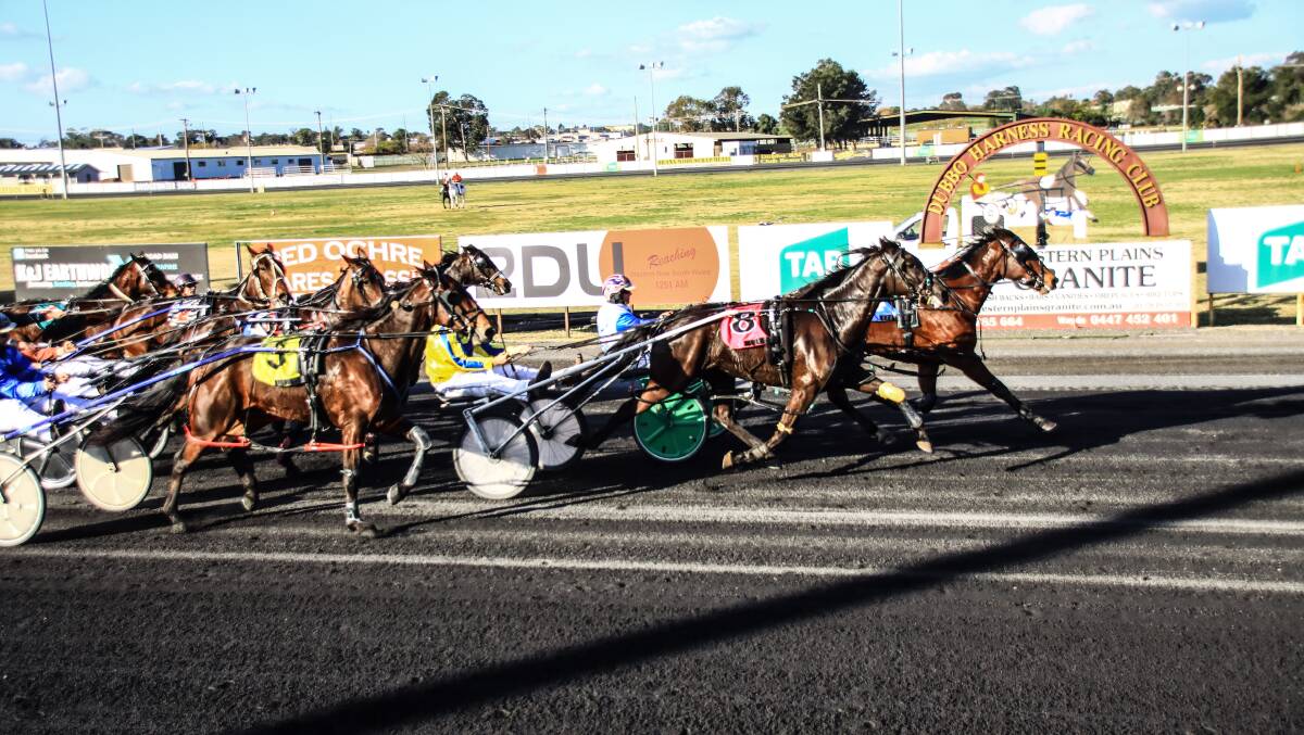 GOT IT: Standandeliver scored a narrow win at Dubbo on Sunday. Photo: COFFEE PHOTOGRAPHY