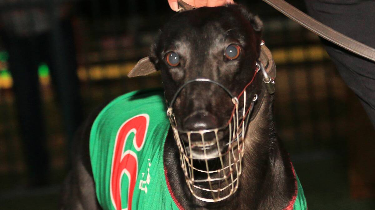 The Million Dollar Chase Regional Final will be held on Friday night. Photos: COFFEE PHOTOGRAPHY