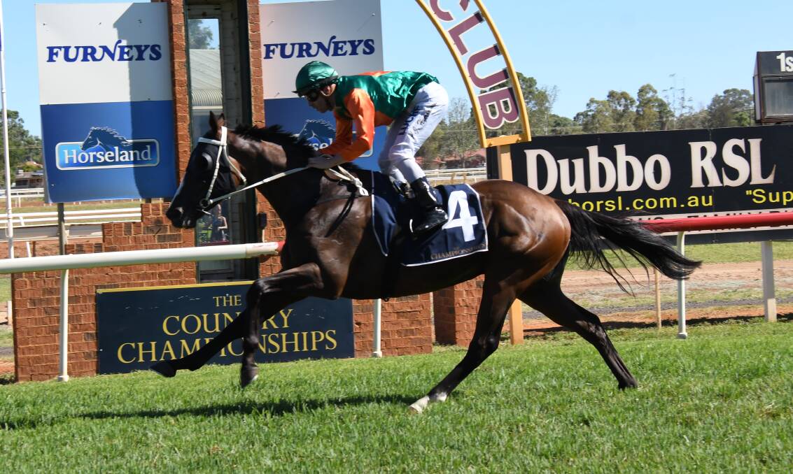TOO GOOD: Westlink showed his class when taking out Sunday's $150,000 qualifier at Dubbo Turf Club. Photo: AMY McINTYRE