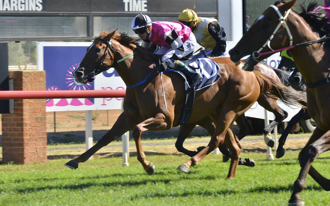 LONG WAIT: La La Loopsy has only had one start since running second in a 2017 Country Championships Qualifier at Dubbo. Photo: BELINDA SOOLE
