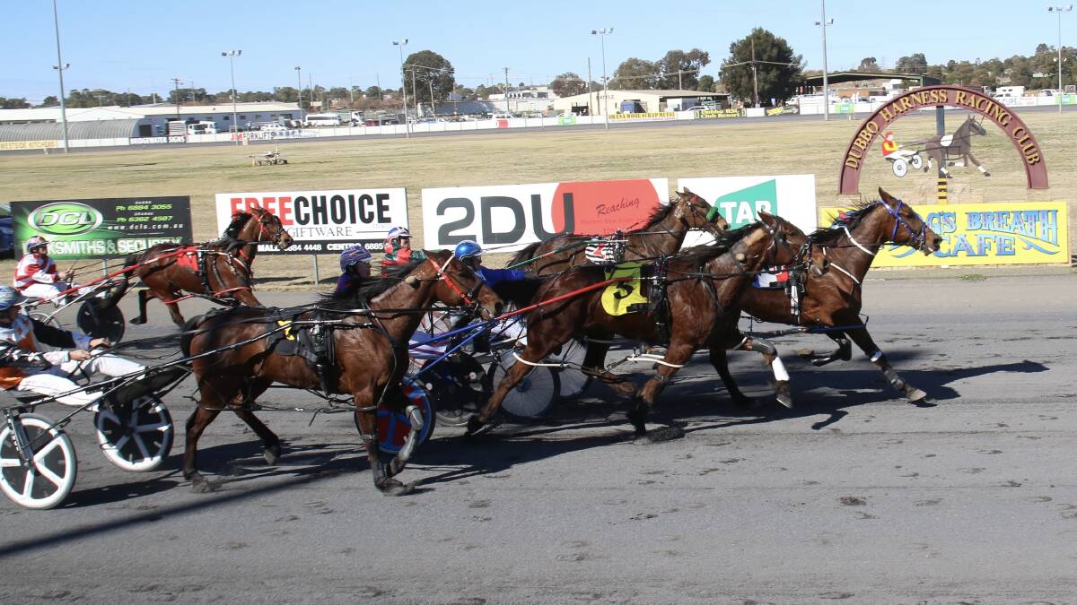 APPLYING: Sunscreen was driven to another win by Tom Pay at Dubbo on Sunday. Photo: COFFEE PHOTOGRAPHY