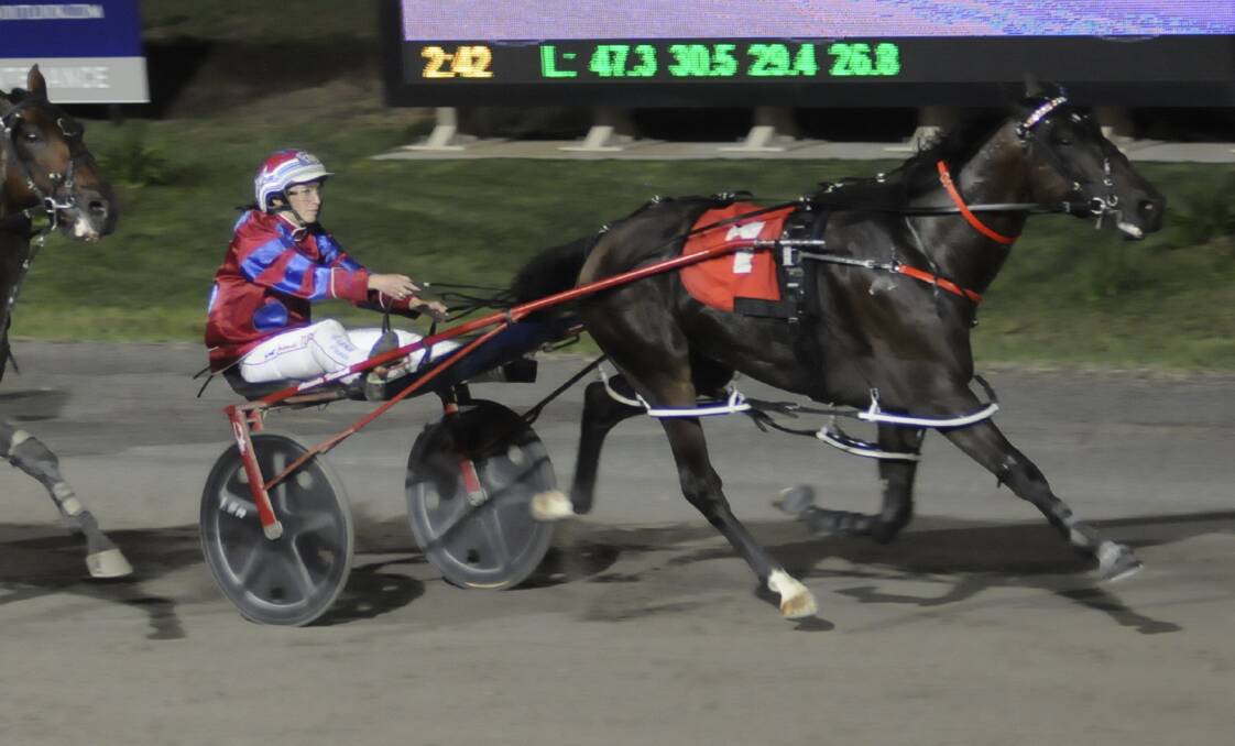STEPPING UP: Atomic Red will contest the Inter Dominion Heats on Friday. Photo: CHRIS SEABROOK