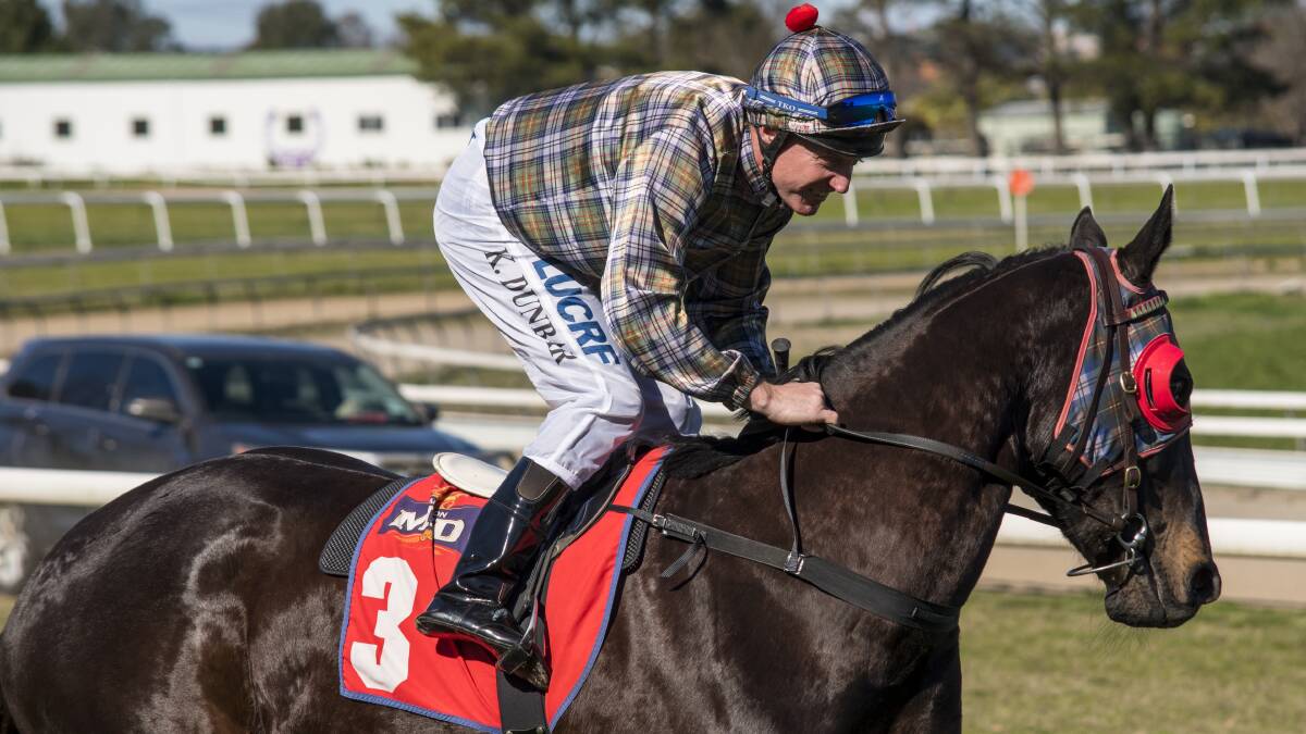 GOING AGAIN: Ken Dunbar will again feature in the tartan colours when he rides Dunderry for Paul Theobald at Bathurst on Friday.