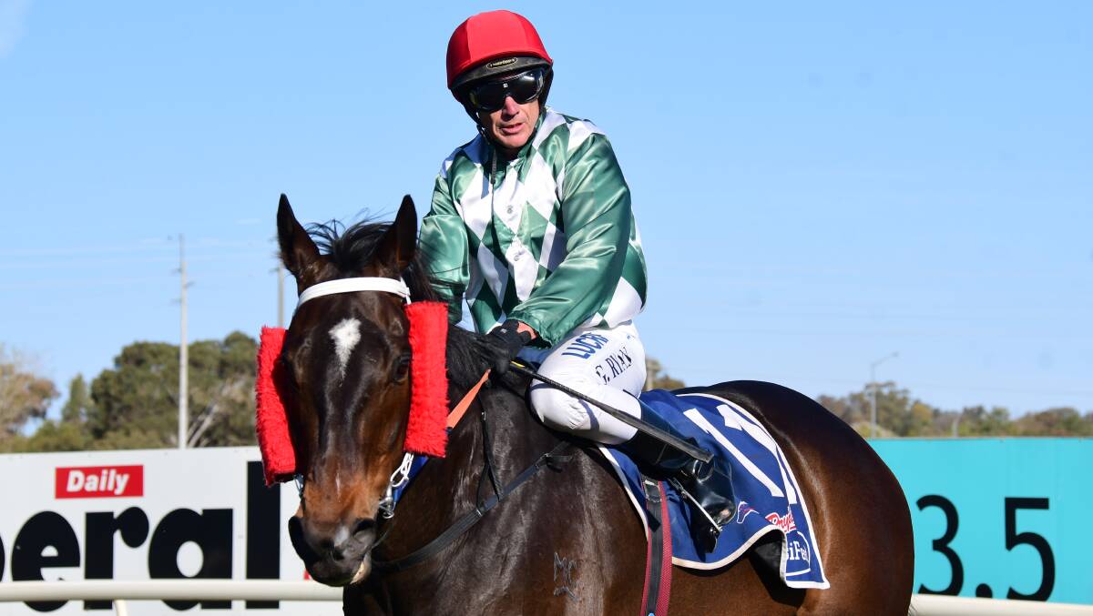 TOO GOOD: Greg Ryan returns to the yard after winning with Under The Thumb on Sunday. Photo: AMY McINTYRE