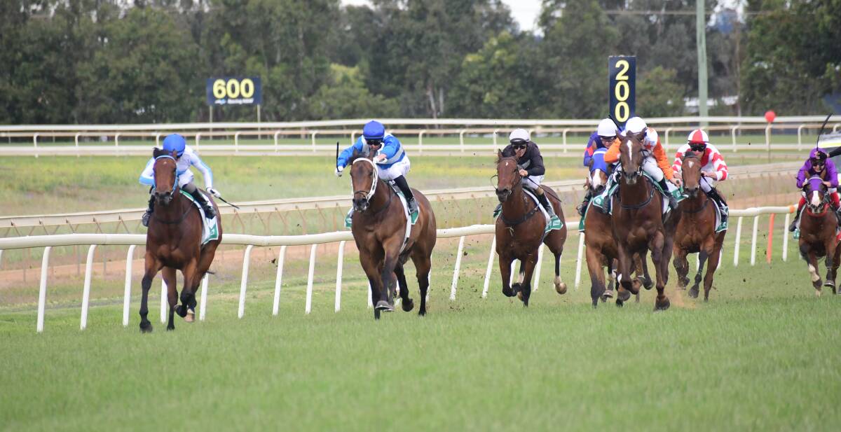 ON THE WAY: One Penny (far left) was one of three strong winners for Cameron Crockett early on Sunday. Picture: Amy McIntyre