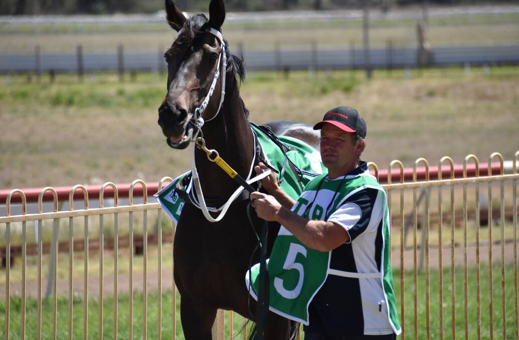 ON A ROLL: After a pair of wins in the city during the past month Gulgong trainer Brett Thompson is set to contest the weekend's Dandy Cup. Photo: JAY-ANNA MOBBS