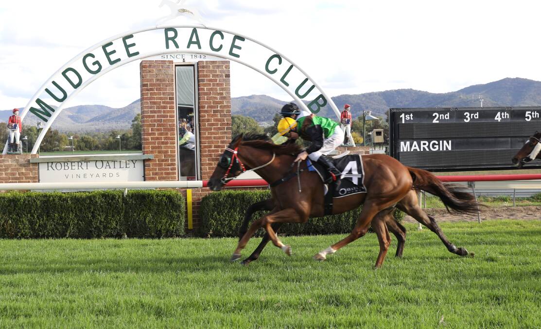 JUST GOT IT: The Allan Gibson-trained Podium Bound (number four) scored a tight win from Mount Bulla (obscured) at Mudgee on Sunday. Photo: SIMONE KURTZ