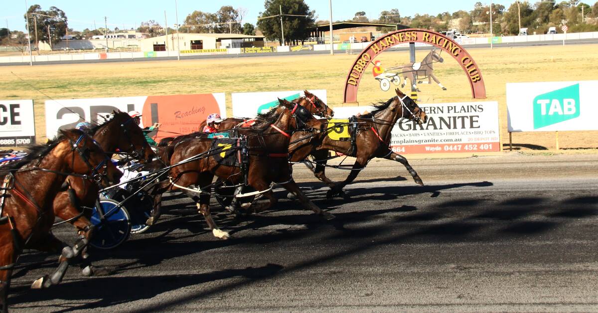 GOT: Chiquitta may have led from start to finish but she was made to work for her win at Dubbo. Photo: COFFEE PHOTOGRAPHY 