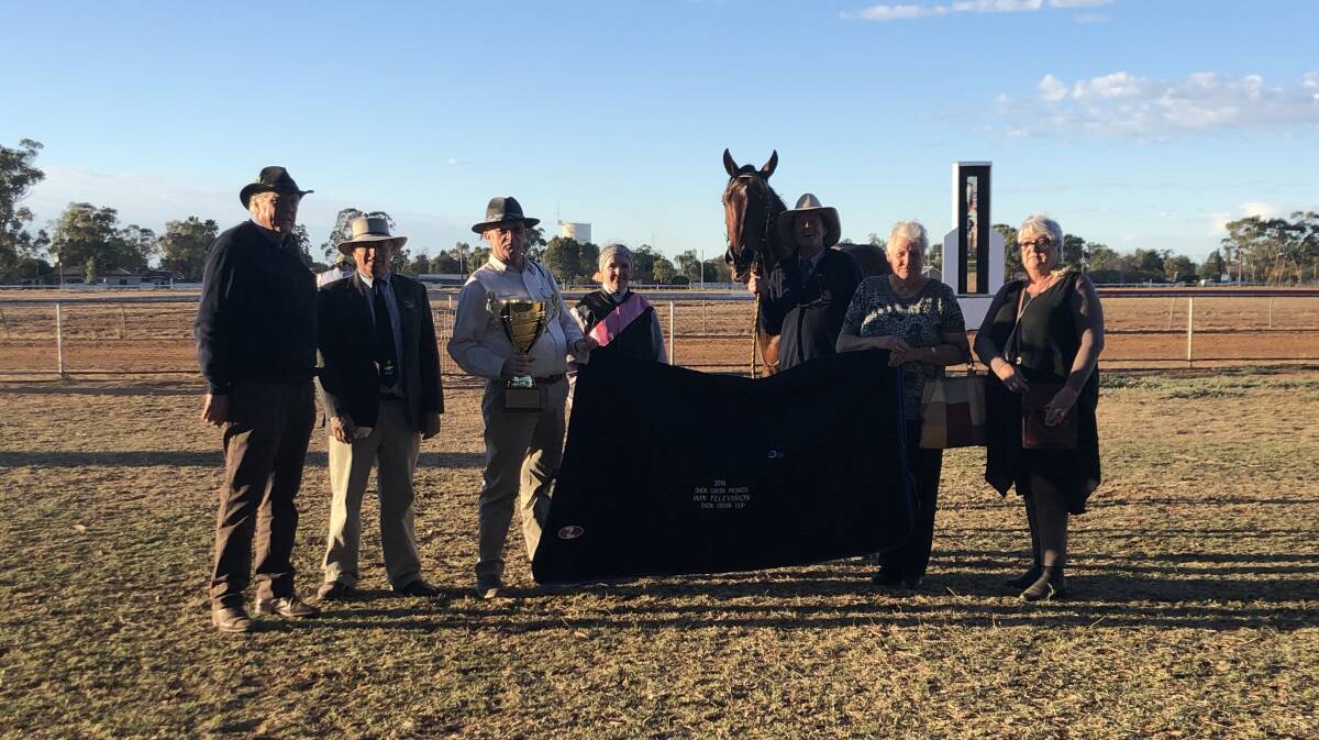 CARRY THE LOAD: The Mark Ward-trained Gadfly took out the Duck Creek Cup in stunning fashion on Saturday. Photo: ZAARKACHA MARLAN
