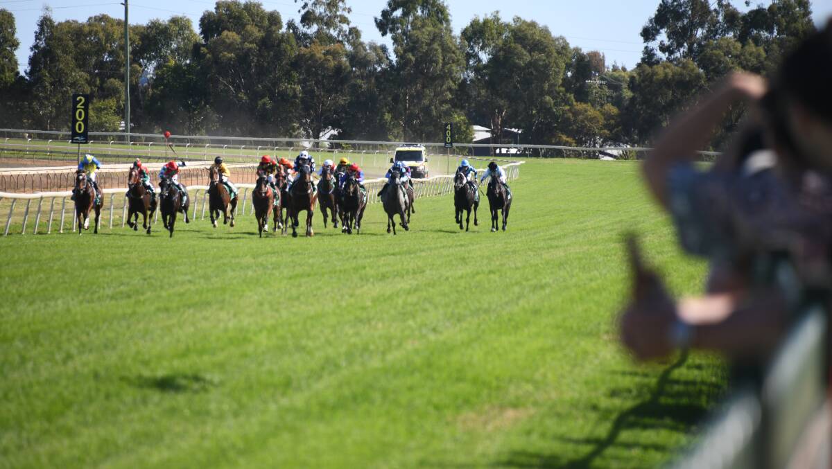 MOVING FORWARD: The Dubbo Turf Club will host the $100,000 Wellington Cup and eight other races on Friday. Picture: Amy McIntyre