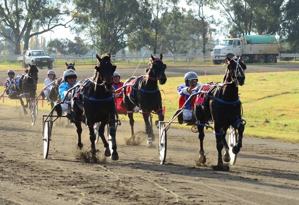 WINNER, WINNER: John O'Shea leads Parramatta down the straight towards the finishing post during Sunday's Mother's Day Cowra Cup at Cowra Paceway. Photo: LIZZ DOBSON