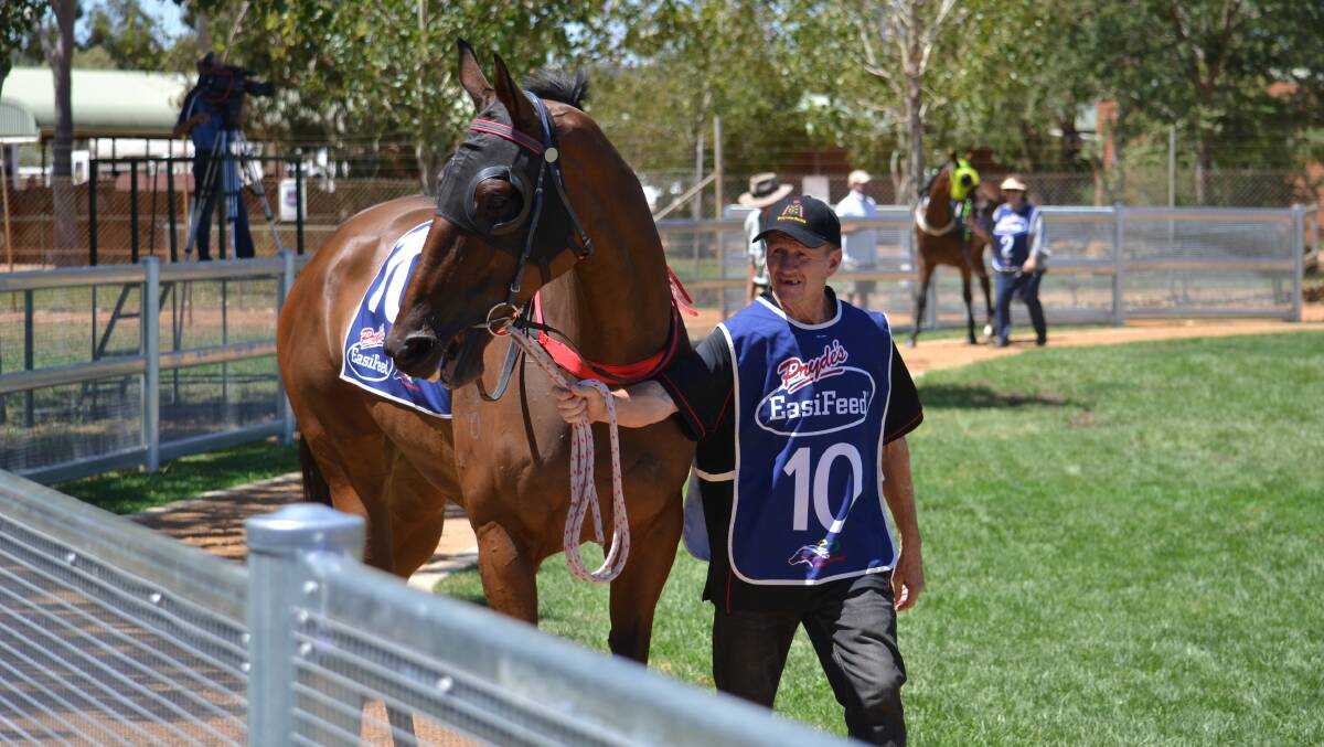UPS AND DOWNS: Garry Lunn enjoyed a win at Carinda on Saturday but there was also some sad news on the day for the Dubbo trainer. Photo: NICK GUTHRIE