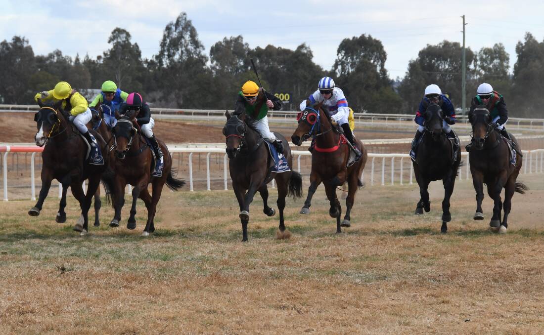 California Fox made it successive wins when scoring at Dubbo on Friday. Photos: NICK GUTHRIE