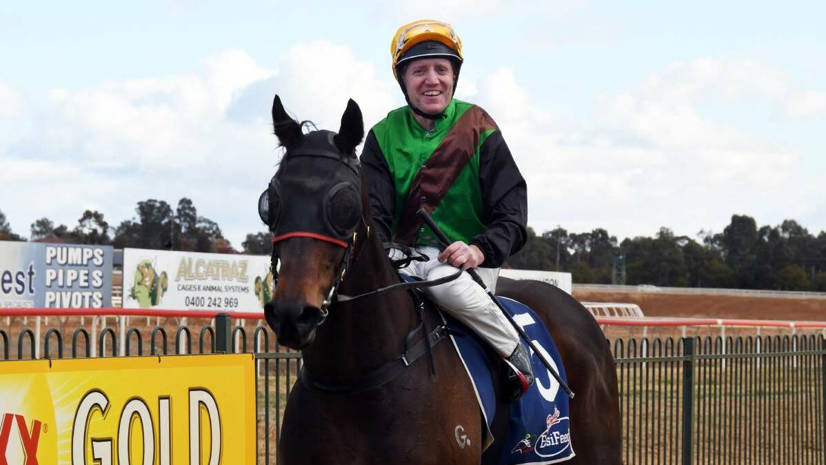 BUILDING: The Allan Gibson-trained California Fox has been nominated to race at Mudgee on Sunday. Photo: NICK GUTHRIE
