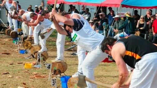 Wood chopping is always a crowd favourite at Dubbo Show. Picture Dubbo Show Society.