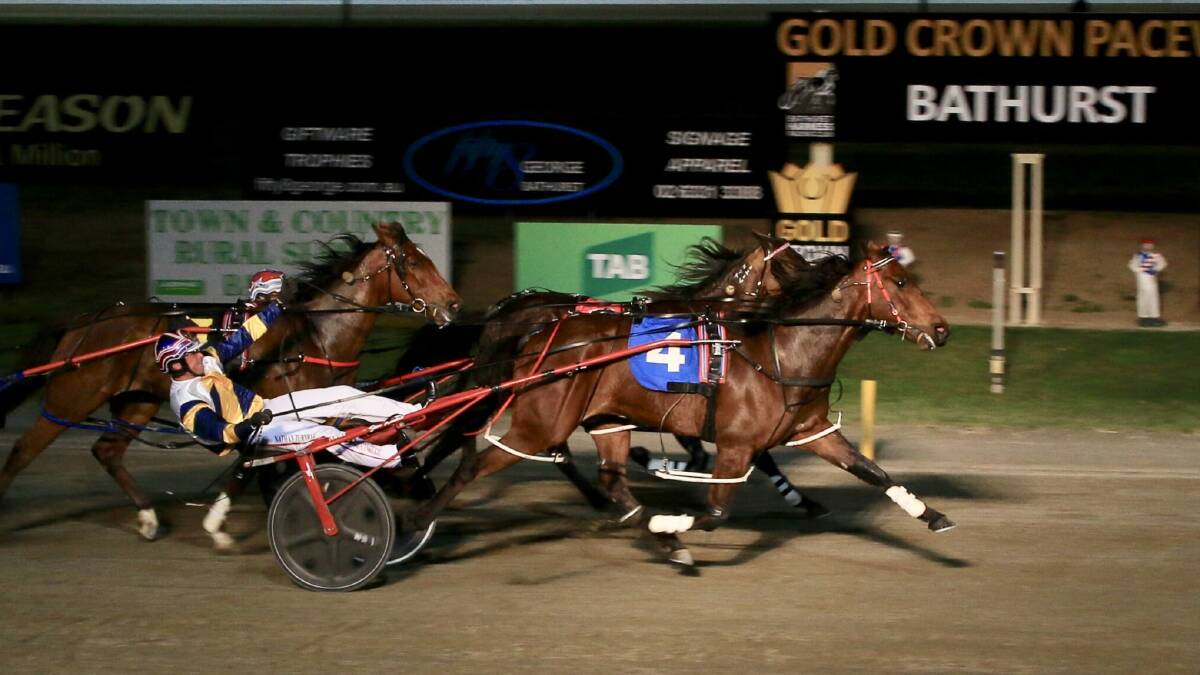 There is nothing quite like watching the trotters whiz round the track on a crisp winter evening.