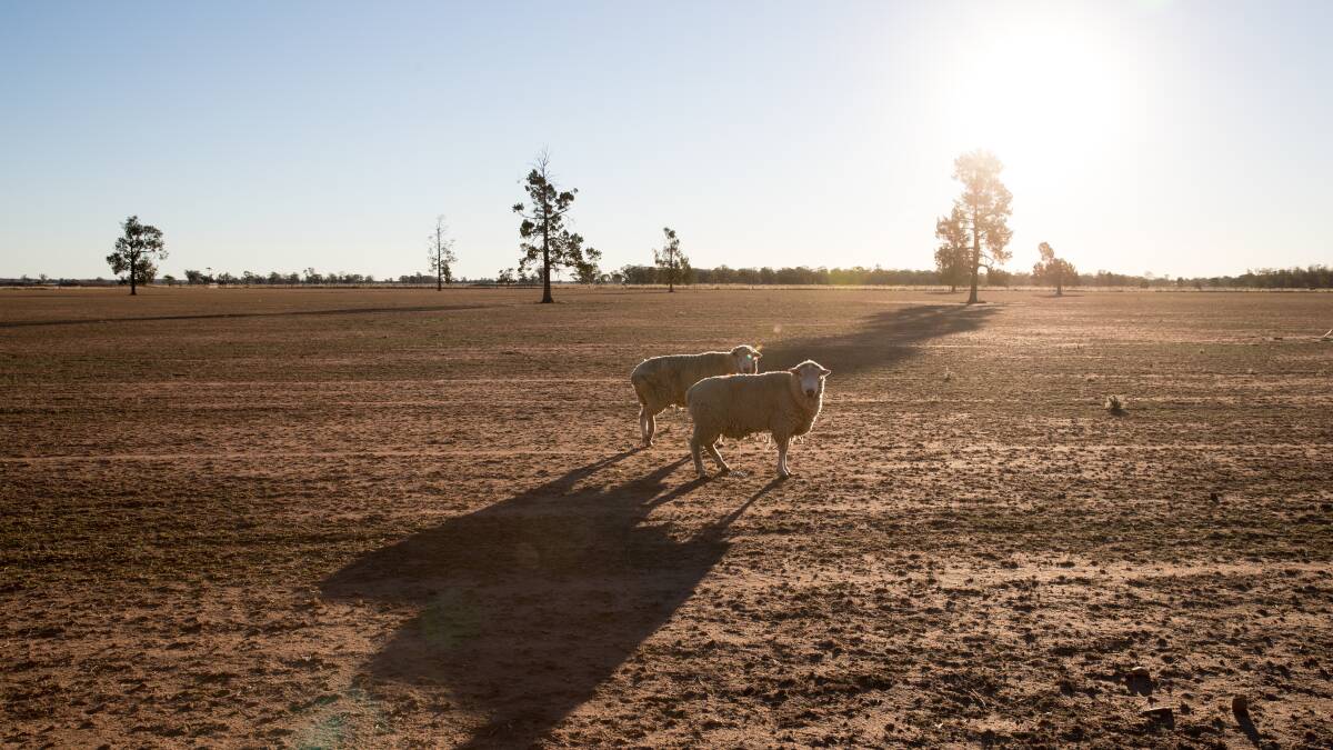 VACCINATE: The Western NSW Local Health district report Q fever cases have doubled since 2018. Photo: Janie Barrett