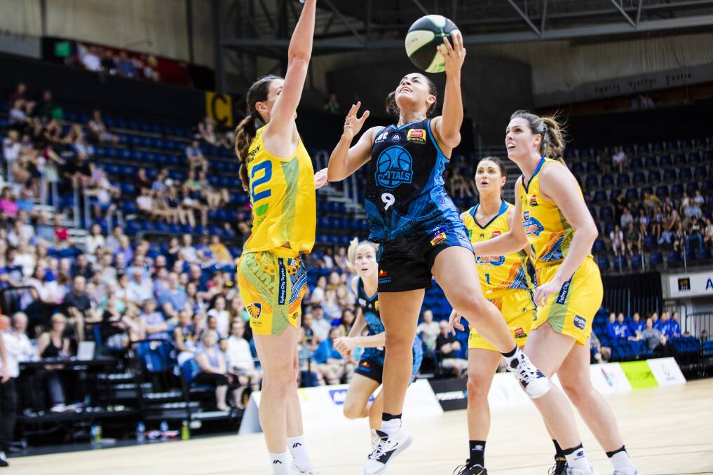 Capitals guard Maddison Rocci played a key role as Canberra bounced back in a big way at the AIS Arena. Picture: Jamila Toderas