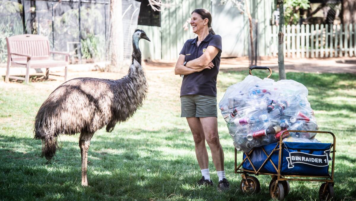 Sue Fallon, pictured with Moo the Emu, has raised $17,000 for wildlife charities by initiating a recycling program at the zoo. Picture: Karleen Minney