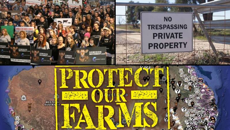 Farmers need new laws to tackle animal activists