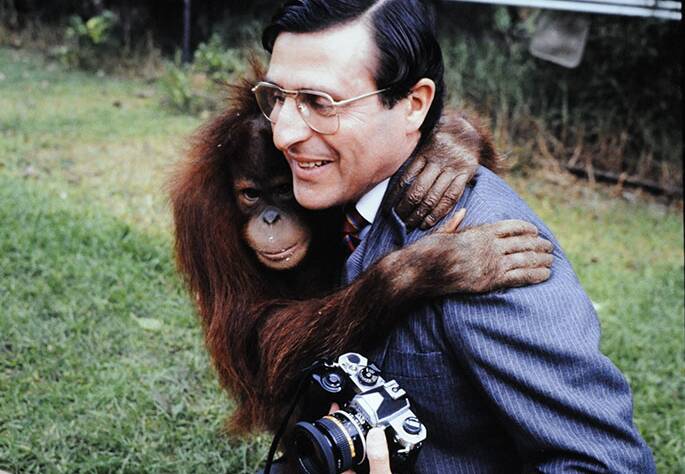 BEST MATES: Photographer John Casamento, whose latest book called Never Work With Animals or Children, gets hugged by an orang-utan during a shoot.