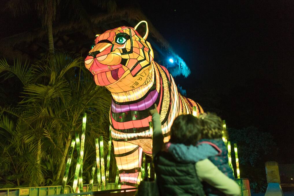 VIVID: The Lights for the Wild will be on display from May 24 - June 15 at Taronga Zoo in Sydney. Photo: JONATHON DEAR