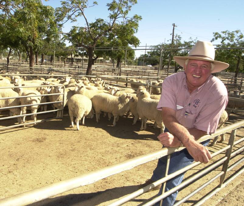Australian Bureau of Statistics has recently released the figures for our sheep flock as of June 30, 2020. It is the fourth lowest number since records began in 1885. Photo: FILE