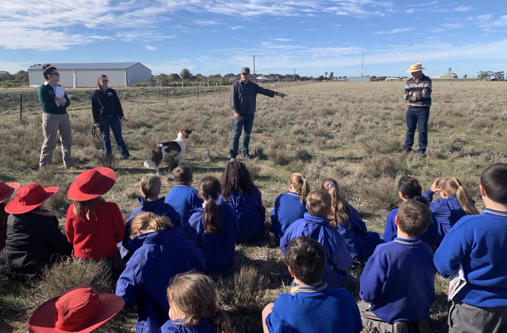 Students at Habitat Day at Jerilderie listening to conservation experts and learning about Plains-wanderer habitat. 
