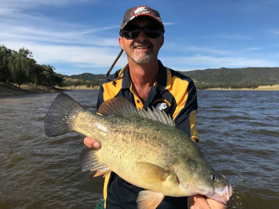 As the weather heats up there's no better time to throw a line in NSW dams. Pictured: David Harris with a yellowbelly .